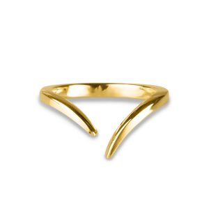 Double Coil Ring